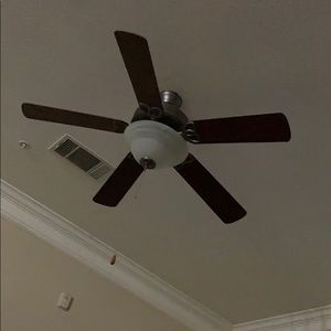 Meet your Posher, Rodney